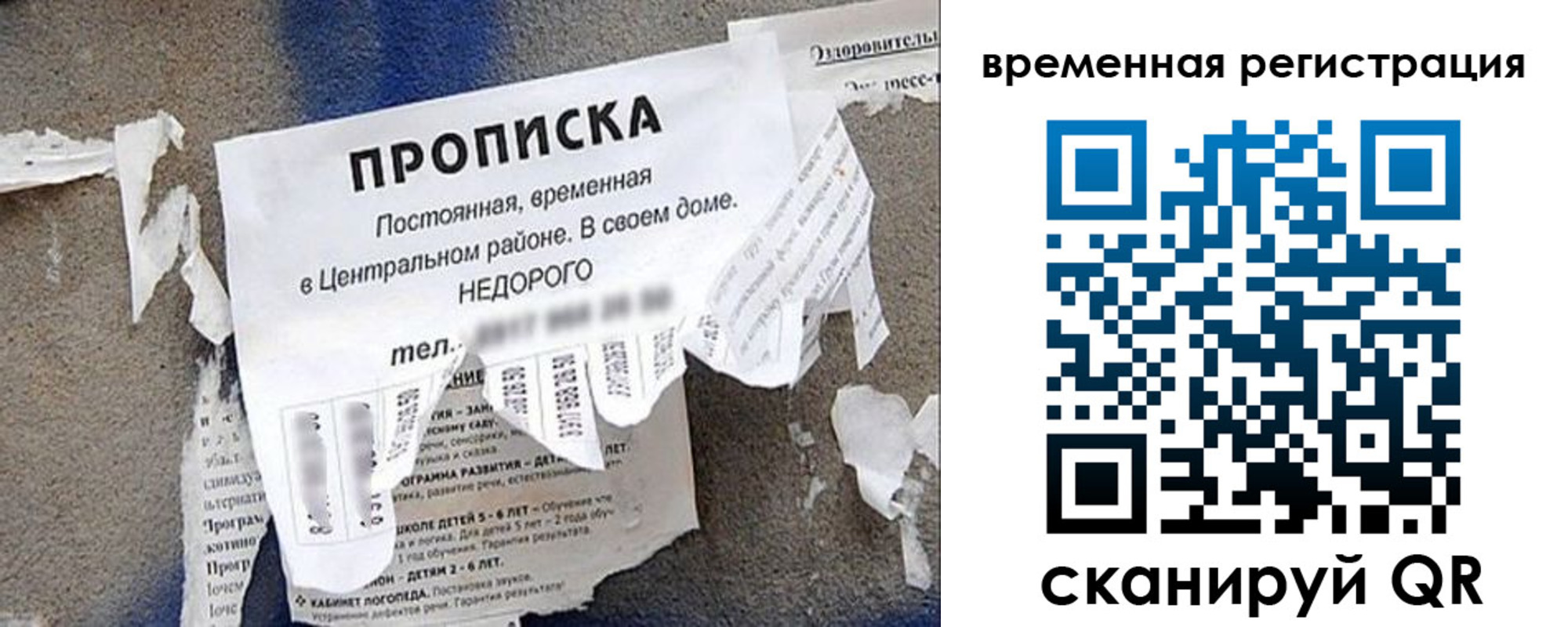 прописка от собственника в Мончегорске